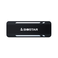 BIOSTAR 映泰 P500 Type-c 移动固态硬盘 USB3.1 512GB