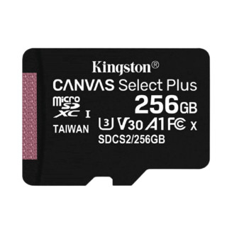 Kingston 金士顿 SDCS2 Micro-SD存储卡 256GB（UHS-I、V30、U3、A1）