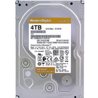 Western Digital 西部数据 金盘系列 3.5英寸 企业级硬盘 4TB (CMR、7200rpm、256MB) WD4003VRYZ