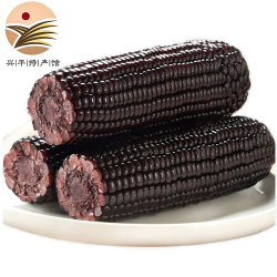 甜糯黑玉米棒 220g*5根装