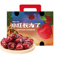 Mr.Seafood 京鲜生 品牌大连美早樱桃预售一篇就够：JJ级 2kg礼盒装 单果10g+ 新鲜水果礼盒