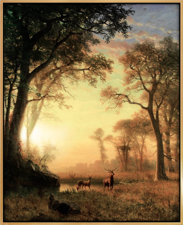 弘舍阿尔伯特99比尔史伯特风景油画森林之光成品尺寸80x65cm油画布