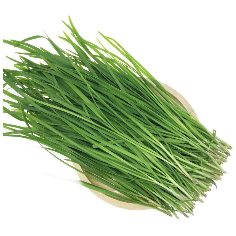 韭菜_晒物_什么值得买