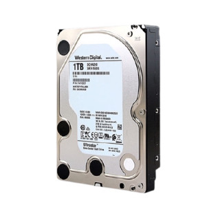 Western Digital 西部数据 UltraStar CD HA 210系列 3.5英寸 台式机硬盘 1TB (CMR、7200rpm、128MB) HUS722T1TALA604