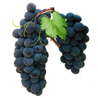 缤咕 云南夏黑无籽葡萄 750g