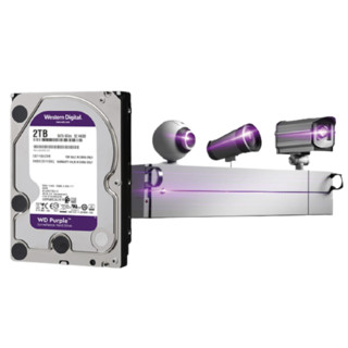 Western Digital 西部数据 紫盘系列 3.5英寸 监控级硬盘 2TB（SMR、5400rpm、64MB）WD20EJRX