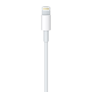 Apple 苹果 USB-A转Lightning 数据线