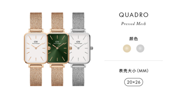 Daniel Wellington 丹尼尔惠灵顿 Square Watch 20X26 Mesh 女款轻奢小方表