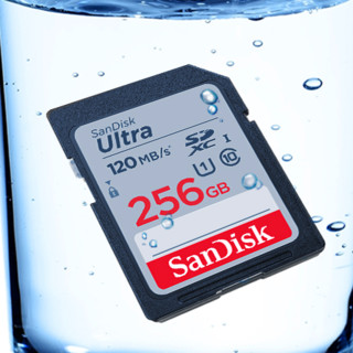 SanDisk 闪迪 Ultra Micro-SD存储卡 128GB（UHS-I、Class10、U1）+读卡器