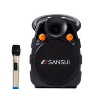 SANSUI 山水 SS3-06 室内/户外 蓝牙音箱 黑色