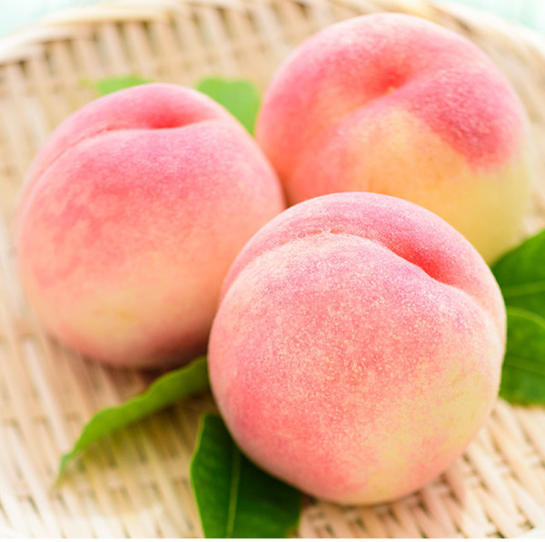 我猜你想要水蜜桃成熟上鲜季水蜜桃你知多少呢