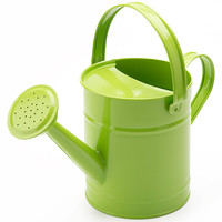 worth沃施5589家用园艺浇水壶绿色15l