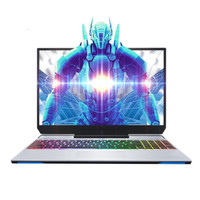 MACHENIKE 机械师 F117-V 15.6英寸 游戏本 银色 (酷睿i7-9750H、GTX 1650 4G、16GB、256GB SSD+1TB HDD、1080P、144Hz)