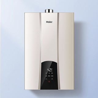 Haier 海尔 JSQ31-16WN3S(12T) 燃气热水器 16L