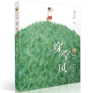 《曹文轩新小说·穿堂风》