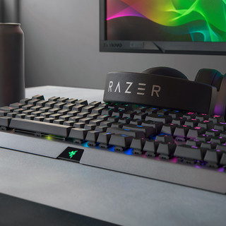 RAZER 雷蛇 黑寡妇蜘蛛 X 幻彩版 104键 有线机械键盘 枪灰色 雷蛇绿轴 RGB
