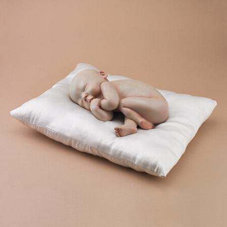 蜷卧的姿势,像是孩子玩耍过后自然而然地躲进梦里,也好像是母亲对孩子