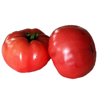 绿养道 西红柿 2.5kg
