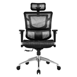 SITZONE 精壹 DS-001A1 人体工学椅电脑椅 黑色 标准版