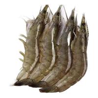 chunrui 春瑞 海捕鲜冻大虾 单只11-15cm 1.4kg-1.6kg