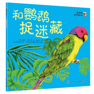 《躲猫猫益智图画书》（1-6册）