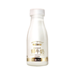 SHINY MEADOW 每日鲜语 鲜牛奶 250ml*12瓶