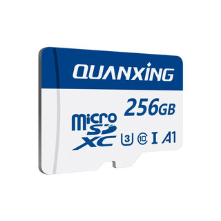QUANXING 铨兴 microSD存储卡 256GB（UHS-I、U3、A1）