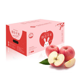 京觅 京鲜生 烟台红富士苹果4kg一级铂金大果 单果230g起 新鲜水果礼盒