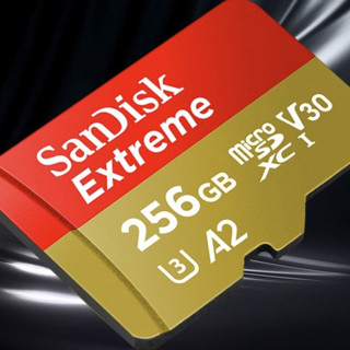 SanDisk 闪迪 SDSQXA1 Micro-SD存储卡 256GB（UHS-I、V30、U3、A2）+读卡器