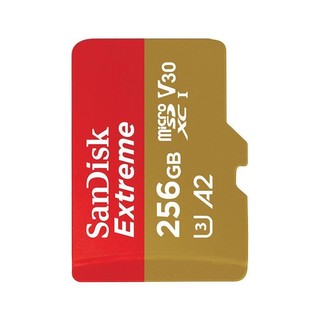 SanDisk 闪迪 SDSQXA1 Micro-SD存储卡 256GB（UHS-I、V30、U3、A2）+读卡器