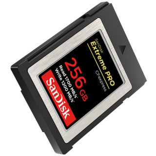 SanDisk 闪迪 Extreme PRO 至尊超极速系列 SDCFE-256GB-ZN4NN CF存储卡 256GB（1700MB/s）