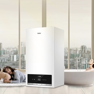 Haier 海尔 L1PB20-HS(T)U1 燃气壁挂炉 20kW