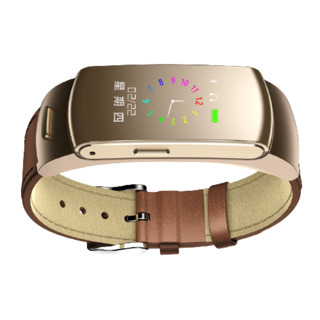 Newmine 纽曼 D200 智能手环 金色 皮革表带（心率、GPS、血氧、睡眠、血压、运动、蓝牙、防水）