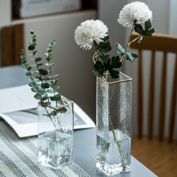 透明花瓶 扉页北欧轻奢透明玻璃花瓶家居客厅餐桌水培插花现代简约装饰品摆件多少钱 什么值得买