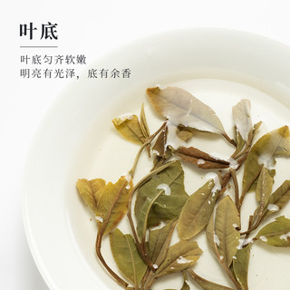 「北路白茶」2020花香雨前寿眉 福鼎白茶寿眉雨前散茶春茶茶叶100g/盒