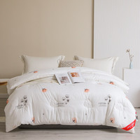 pierre cardin 皮尔·卡丹 暖芯棉花被