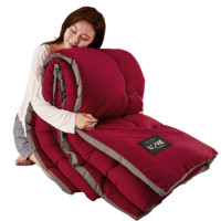 Bejirog 北极绒 磨毛纤维春秋被 酒红 200*230cm 5斤