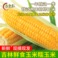 念食居 东北小花紫糯玉米2500克