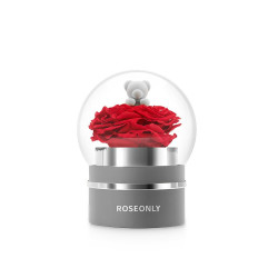 ROSEONLY 诺誓 諾誓)玫瑰公仔 永生花 甜心熊嫣红音乐球 同城鲜花速递礼品 情人节礼物 生日礼物 送女友