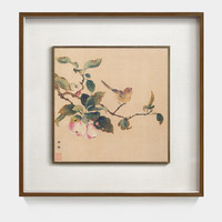 ARTGIFT 艺术家的礼物 林椿名作 花鸟系列《枇杷山鸟图》55×55cm 绢本设色