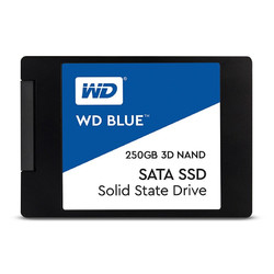 Western Digital 西部数据 WD） 蓝盘SA510 SSD固态硬盘 2.5英寸SATA3.0台式机笔记本硬盘 标配  250GB（WDS250G3B0A）