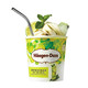 Häagen·Dazs 哈根达斯 青柠莫吉托味雪泥 100ml*1杯