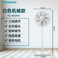 Hisense 海信 FLJ-AN2501 落地扇