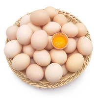 PLUS会员：静益乐源 农家散养土鸡蛋 10枚