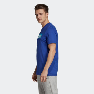 adidas 阿迪达斯 E LIN BRUSH T 男子运动T恤 DV3052 蓝色 M