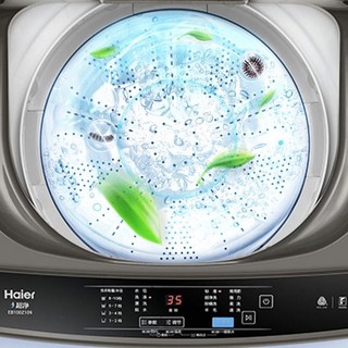 Haier 海尔 EB100Z109 定频波轮洗衣机 10kg 布朗灰