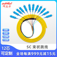 电信级SC/FC/ST/LC单模多模光纤跳线尾纤1.5米12芯束状尾纤ODF单元体熔接尾纤 单模（SC）束状尾纤