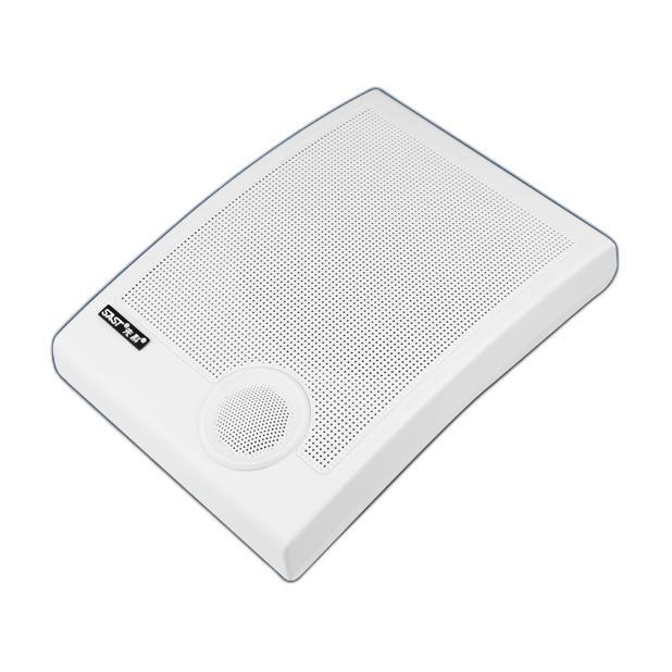 SAST 先科 D45A 户外 多媒体音箱 白色