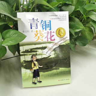 《曹文轩纯美小说系列·青铜葵花》