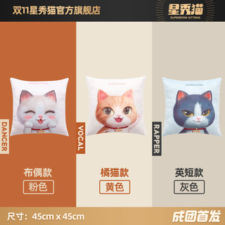 星秀猫方形抱枕家用沙发简约靠垫床头靠枕